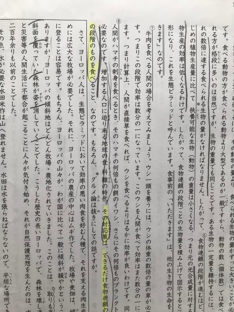 日能研学習力育成テスト、合格力実践テスト、難関校トライアル他6年2024