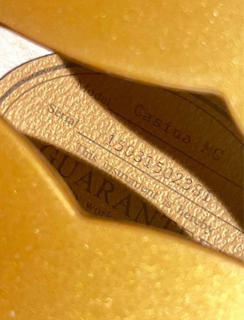 【ハルとクロ様】Epiphone Casino lic Gold
