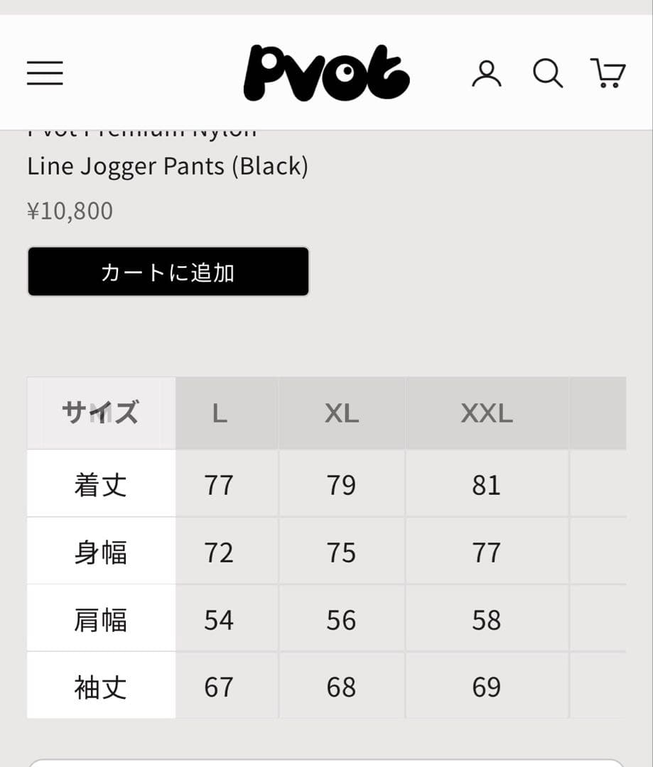 pvot ナイロン　セットアップ