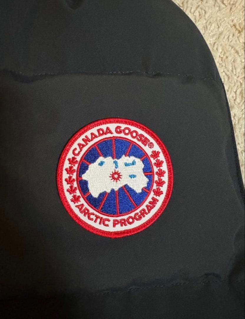 (美品)  Arctic Program ダウンベスト