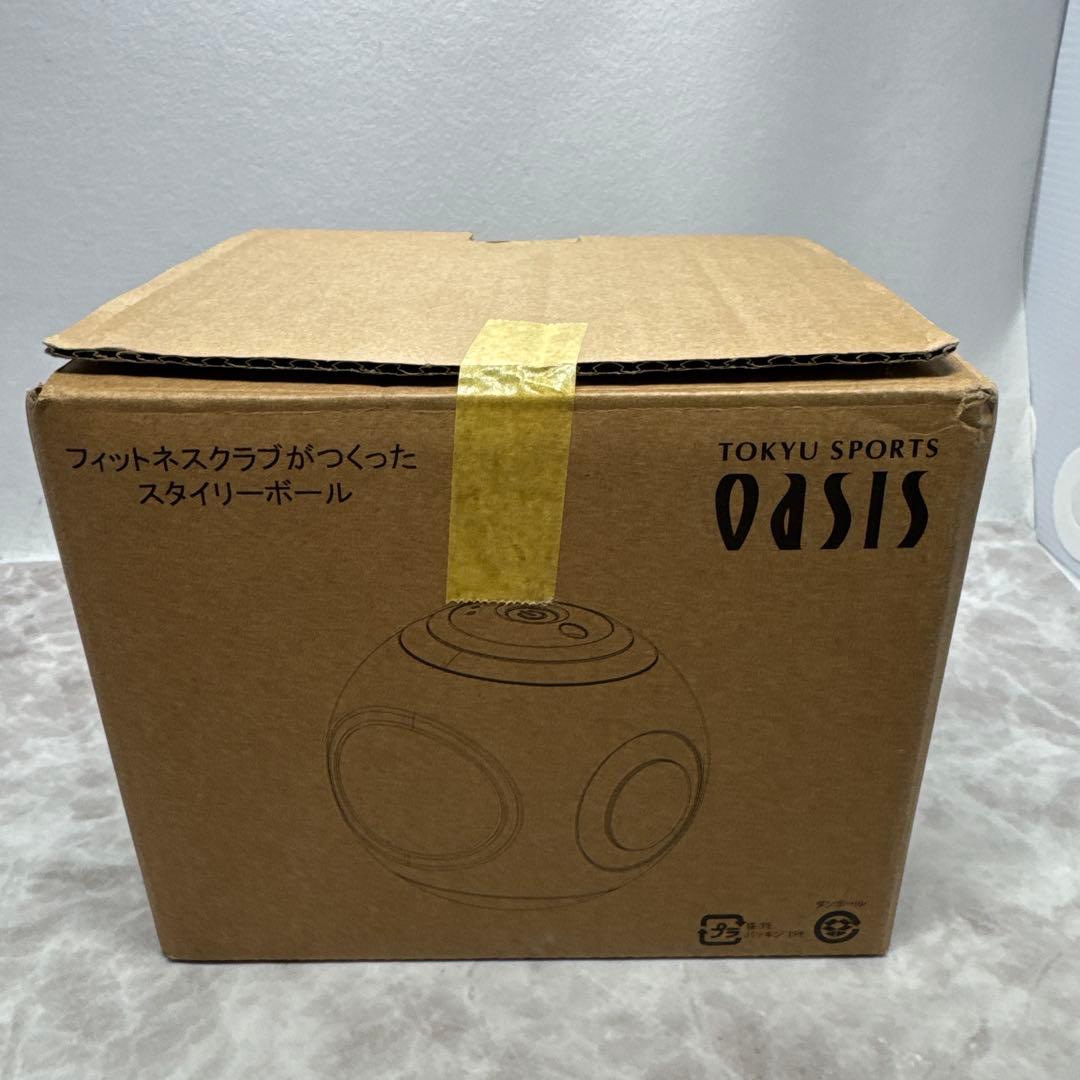 東急スポーツオアシス スタイリーボール SLB-100 ネイビー