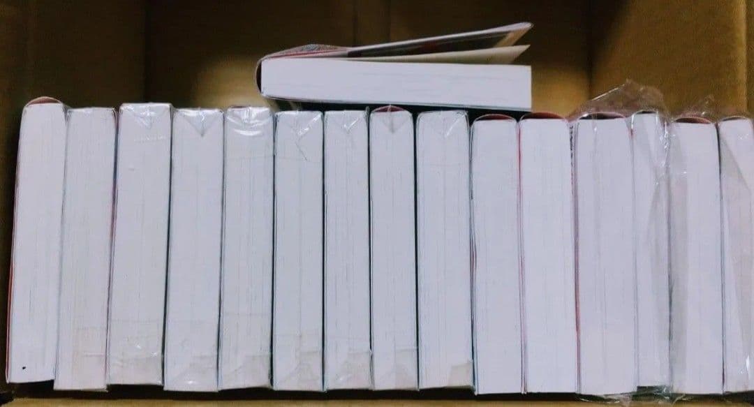 薬屋のひとりごと 小説 1-16巻 全巻セット 日向夏 しのとうこ