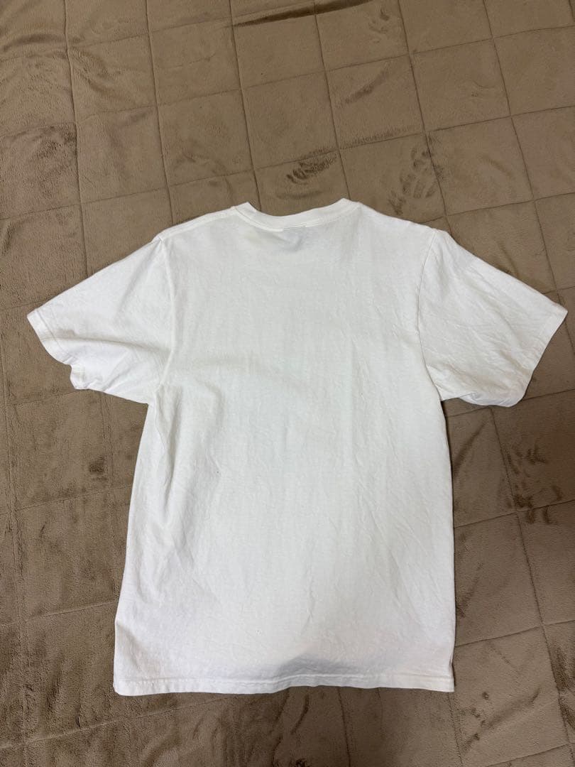 d*i様 Stussy 恐竜プリント Tシャツ Sサイズ
