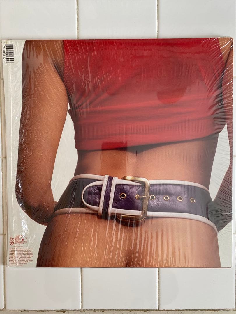 Ween『Chocolate And Cheese』