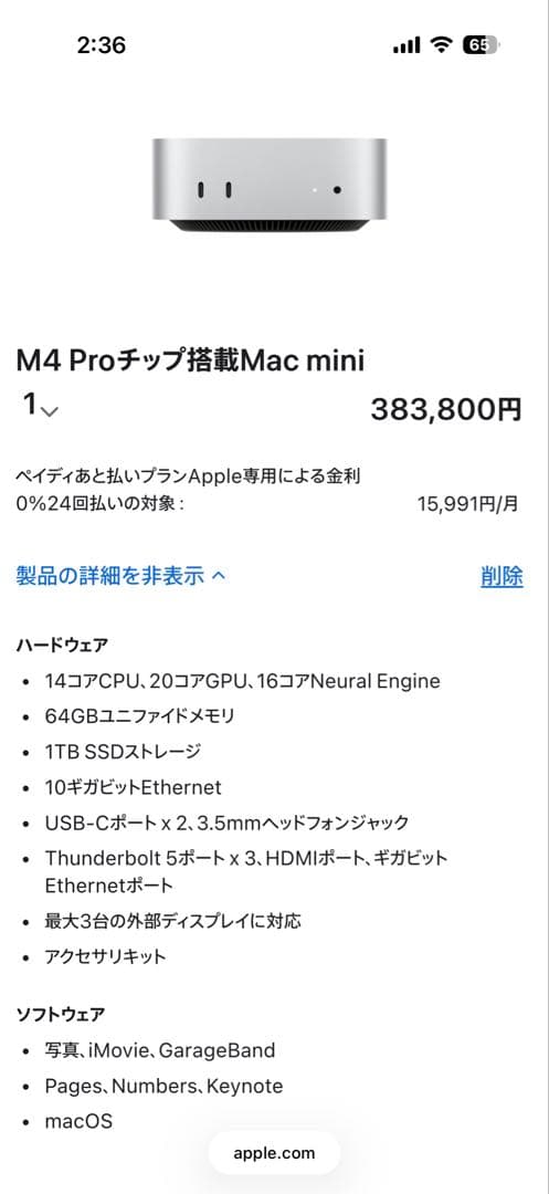 Mac mini M4 Pro 64GB 1TB 20コアGPU 10ギガイーサ