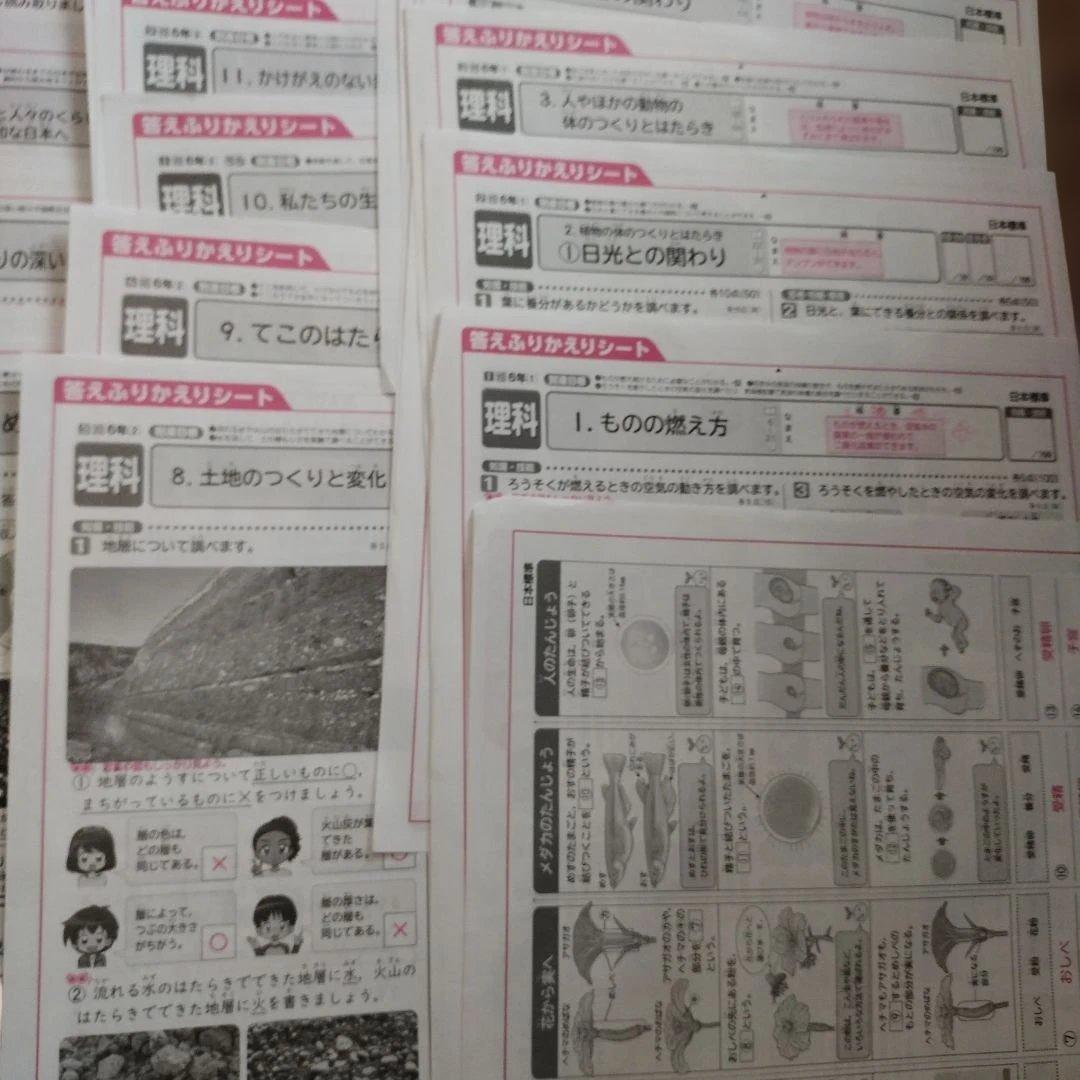 小6　理科社会　カラーテスト　答え振り返りシート　2025-2026