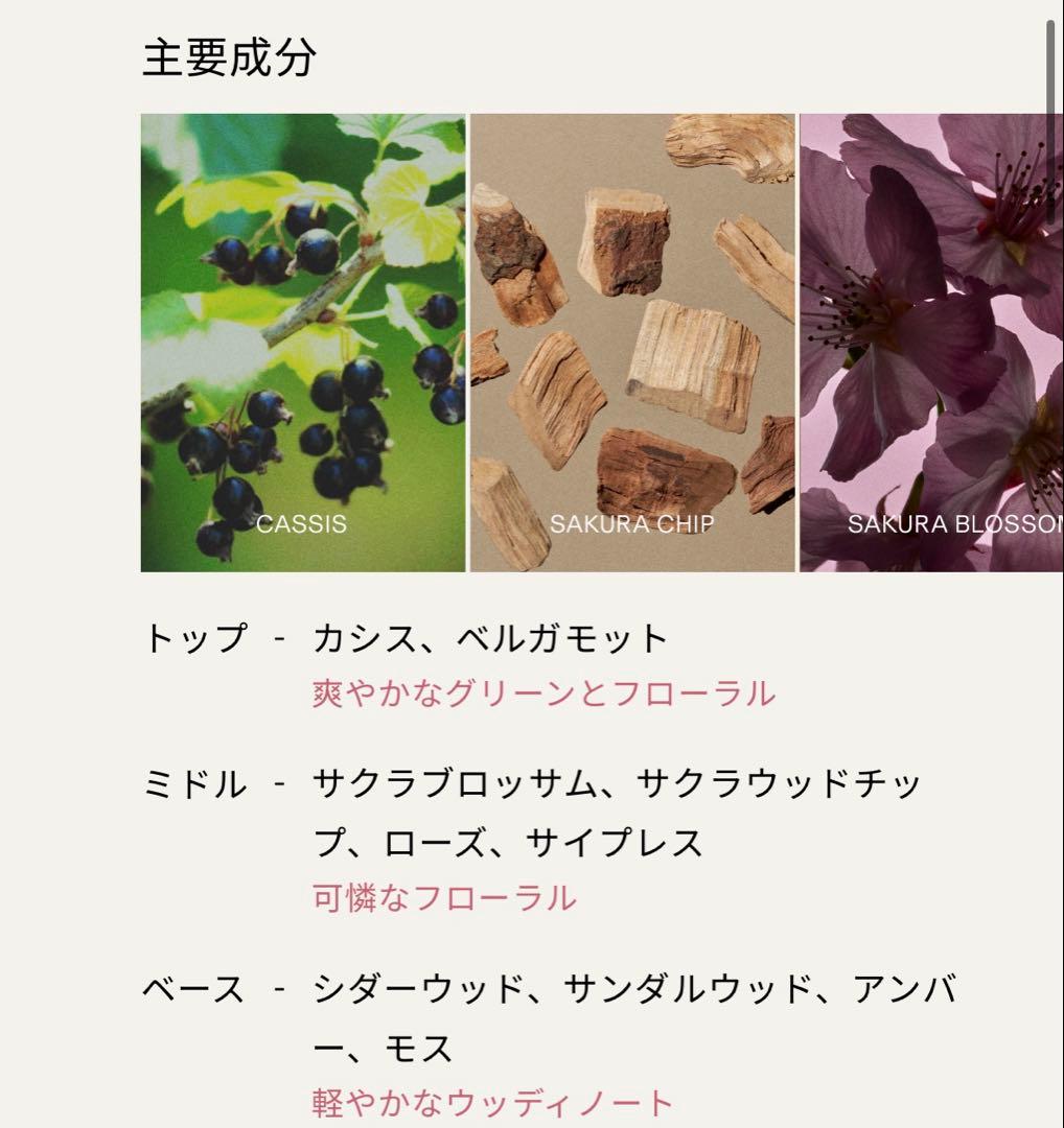BAUM バウム　サクラツリー　オードトワレ　箱無し　60ml