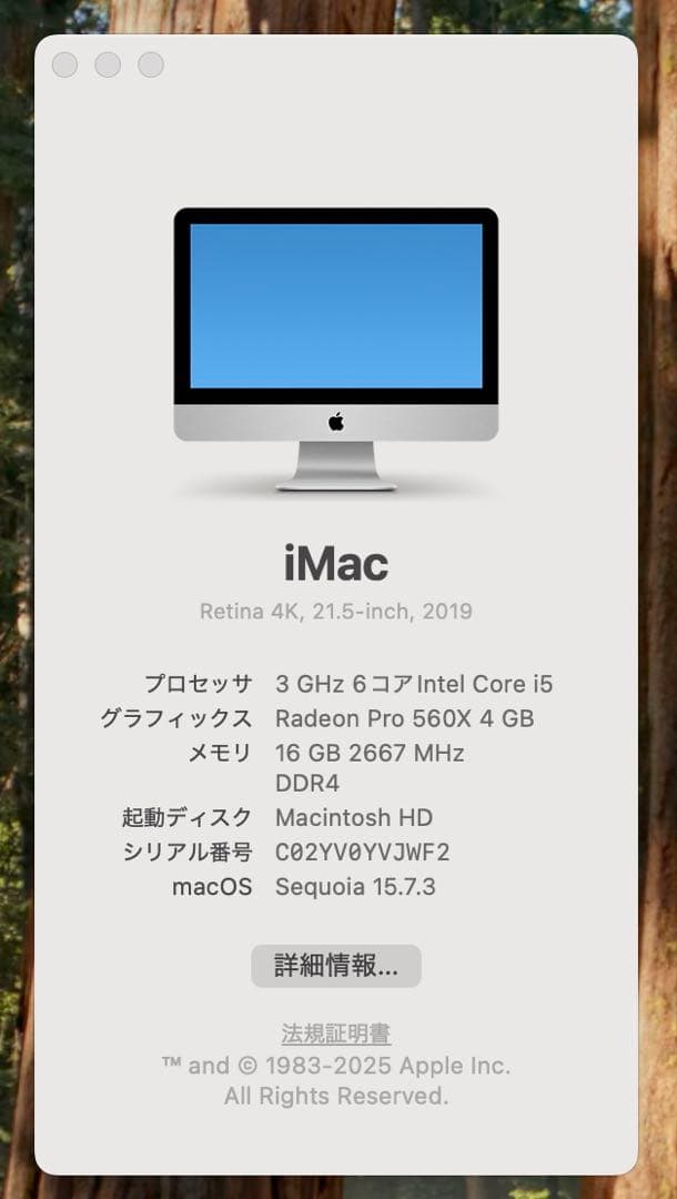 Apple iMac 21.5インチ 2019 16GBメモリ初期化済み