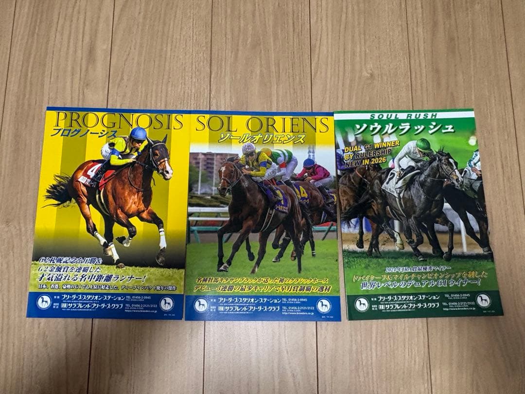 M*o様 競馬ブリーダーズスタリオンブック２０２６年版