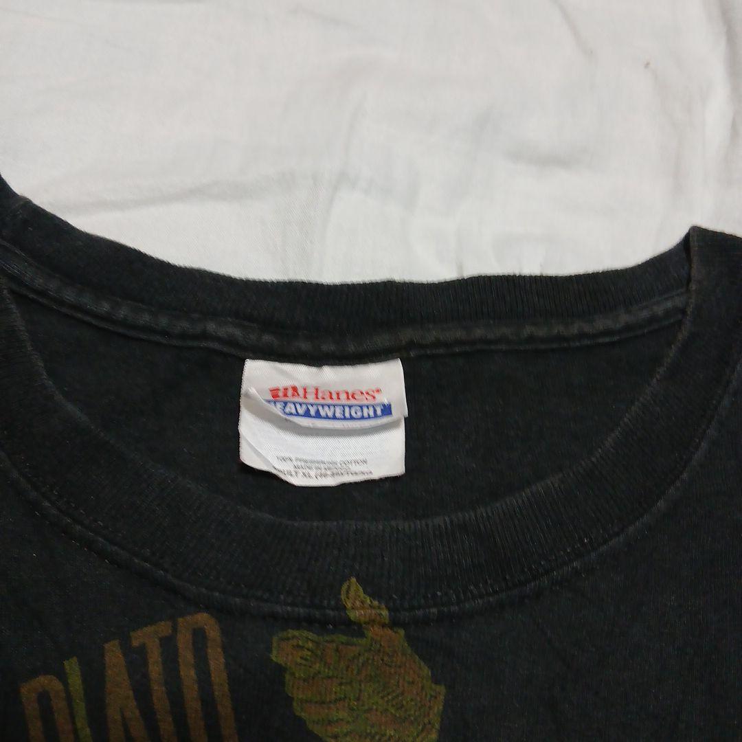 panic at the disco　tシャツ hanesタグ