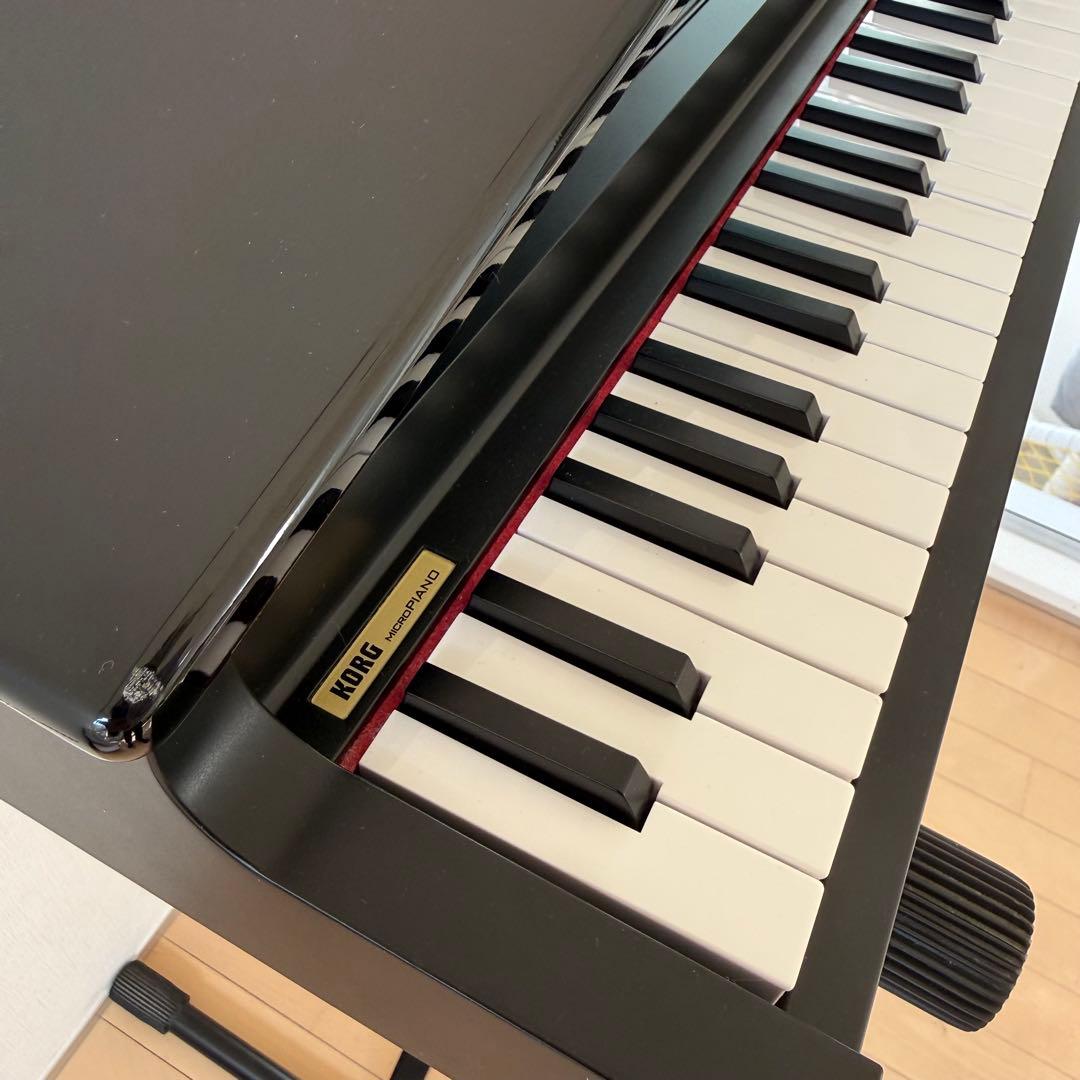 Korg microPiano + Hercules EZ-LOK スタンド