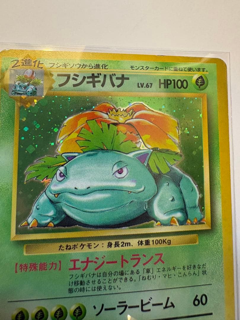 フシギバナ ★ 第1弾拡張パック　旧裏　★マークあり　ポケモンカード