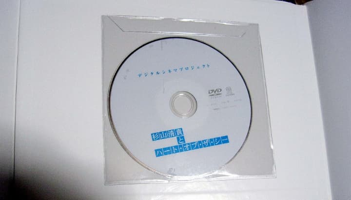 超レア【杉山清貴◆a heart of the sea】写真集 DVD付 初版