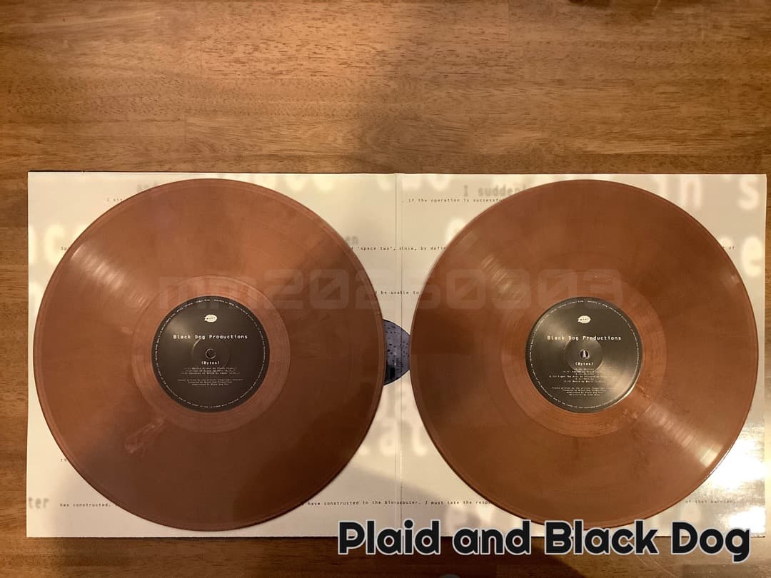 Plaid - Stem Sell (限定300枚プレス)+α