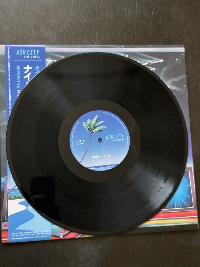 【極美品／試聴確認済】Niteflyte ナイトフライト LP 再発名盤