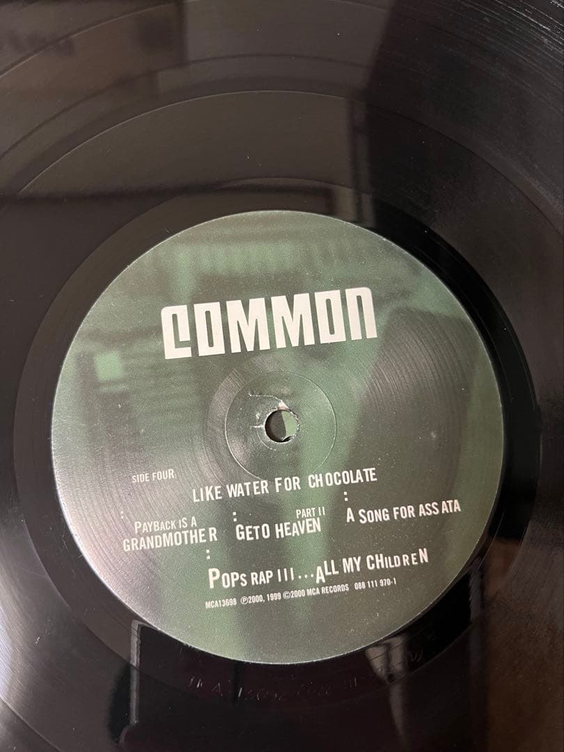 Common Like Water for Chocolate レコード 2LP