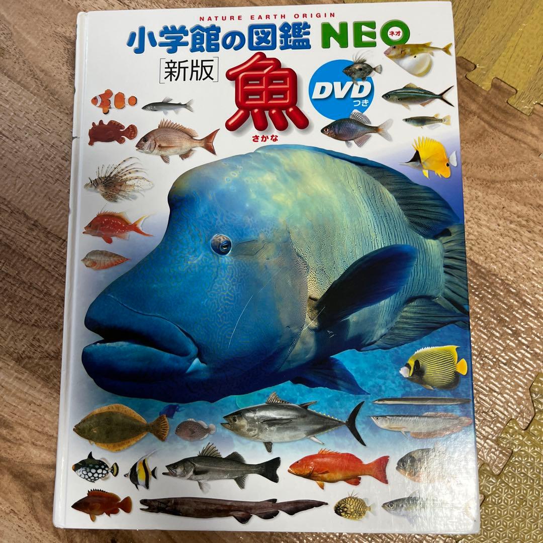小学館の図鑑NEO DVDなし　19冊セット