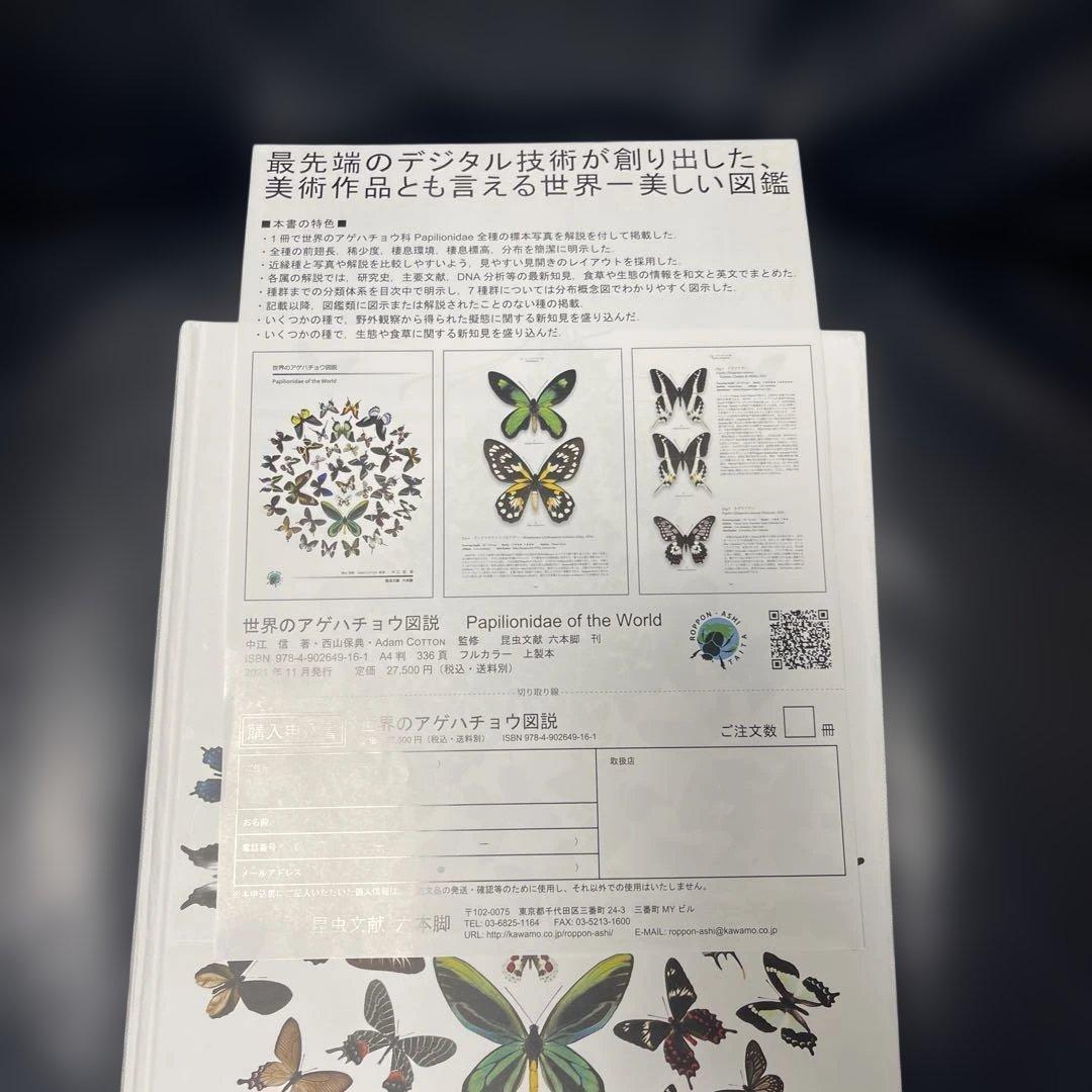 世界のアゲハ蝶の図説　六本脚