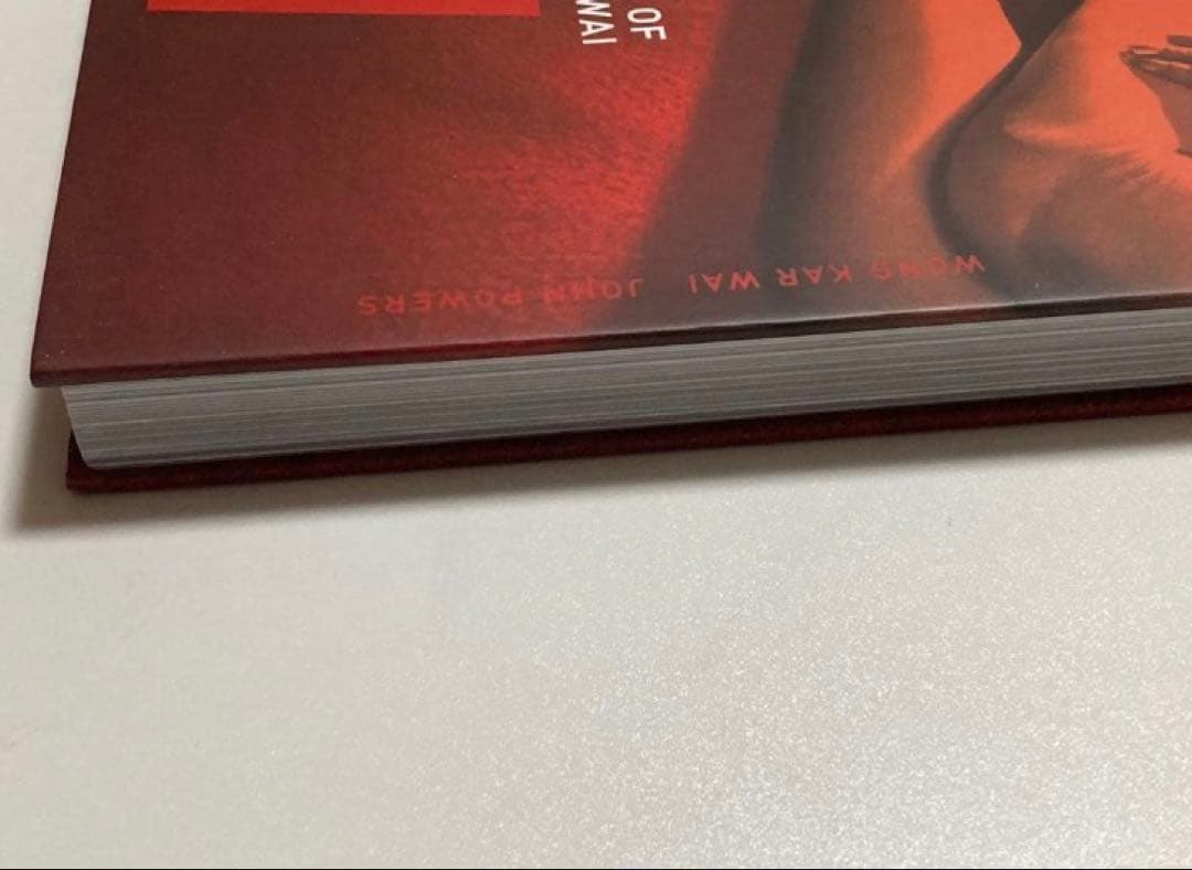 THE CINEMA OF WONG KAR WAI ウォン・カーウァイ 写真集