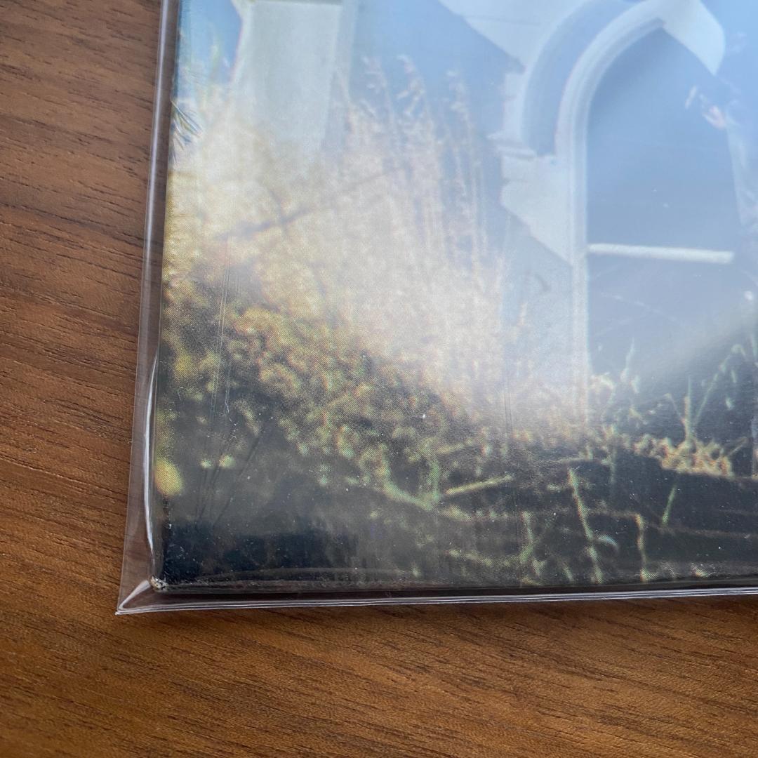 LP Graham Central Station Release USシールド