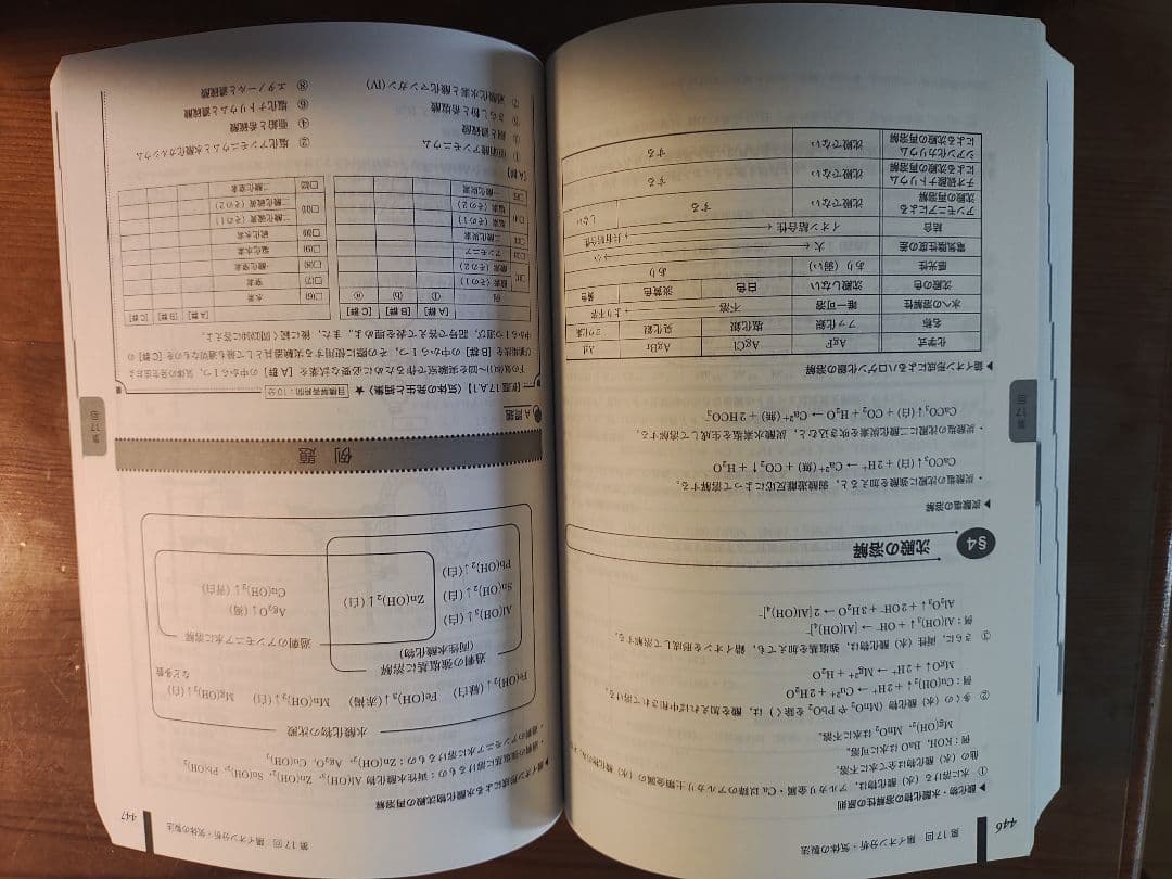 2025年度　高3 化学　鉄緑会　入試化学確認シリーズ　確シリ　新品