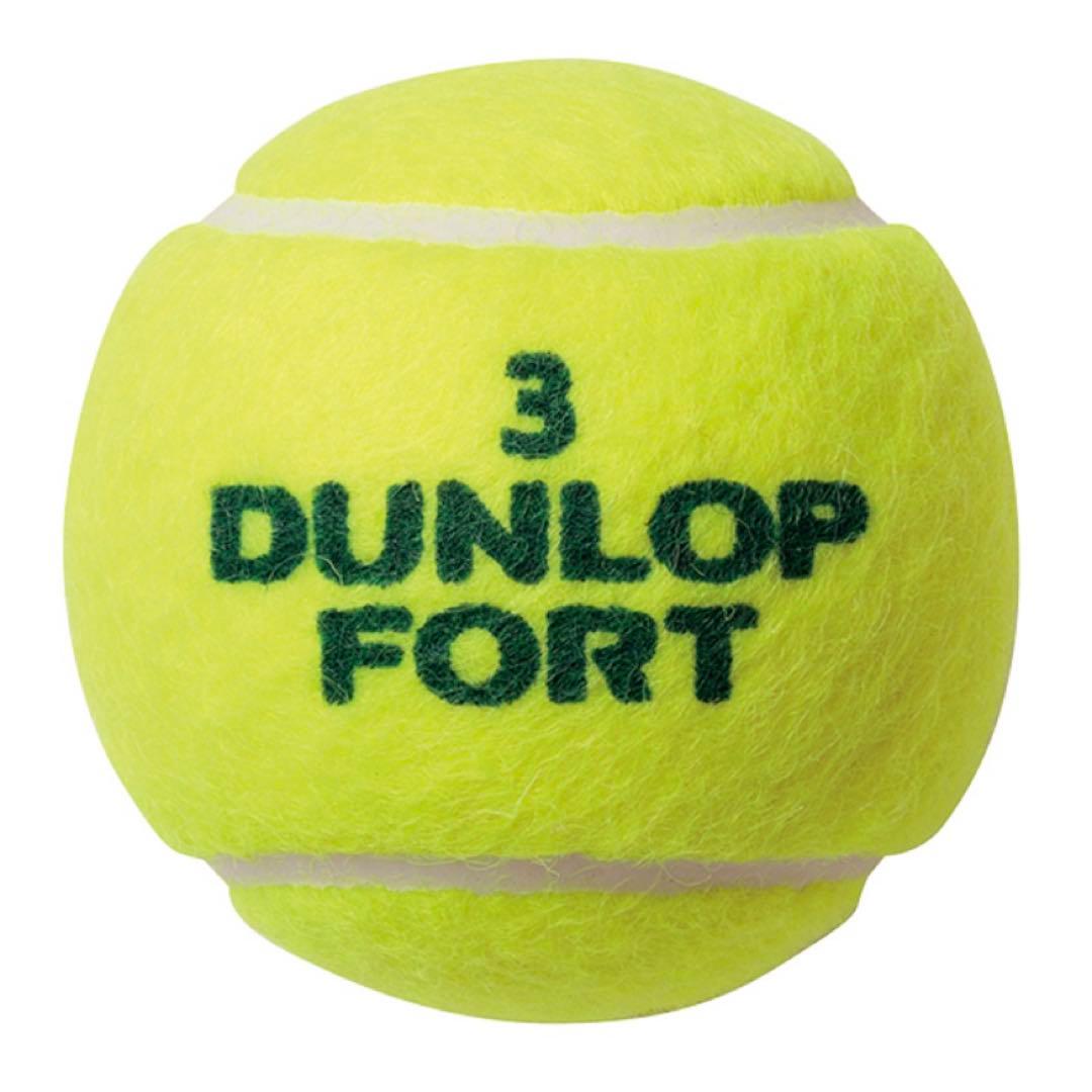 DUNLOP ダンロップ 干支 FORT フォート 10缶 2026年干支 新品