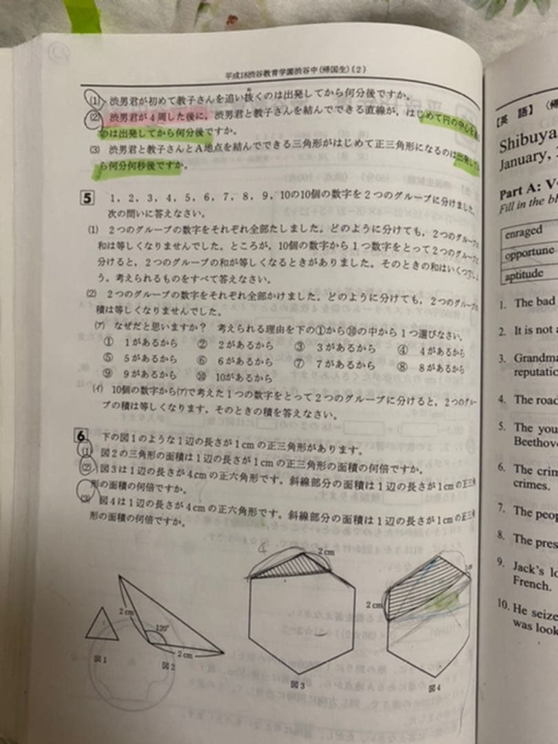 渋谷教育学園渋谷中学校 過去問　２０年度用　問題集