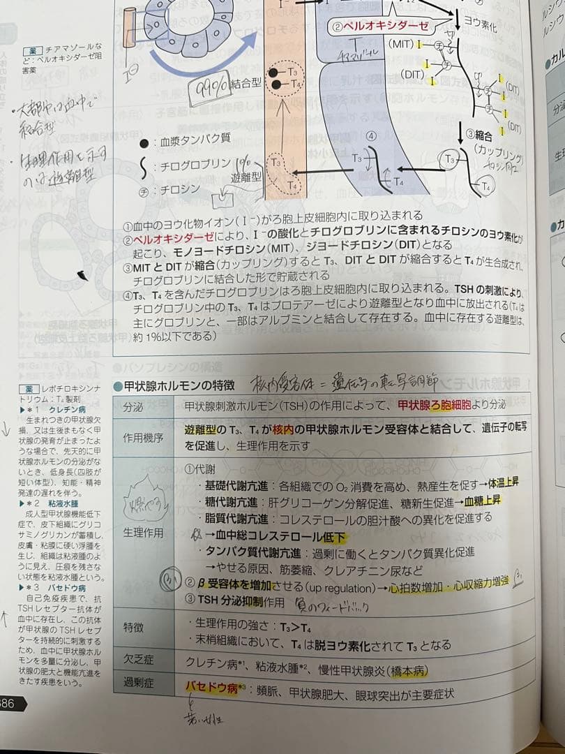 【第110回改訂第14版薬剤師国家試験対策参考書】9巻セット 薬ゼミ 青本