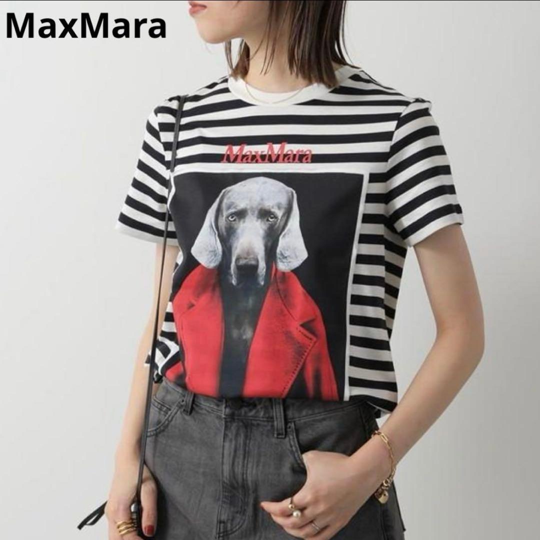 美品MaxMara　ROSSO　TシャツドッグXS　VANIGLIA黒白ボーダー