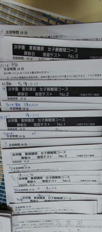 浜学園 小6 夏期講習 女子最難関コース国語算数理解 テキスト・復習テストセット