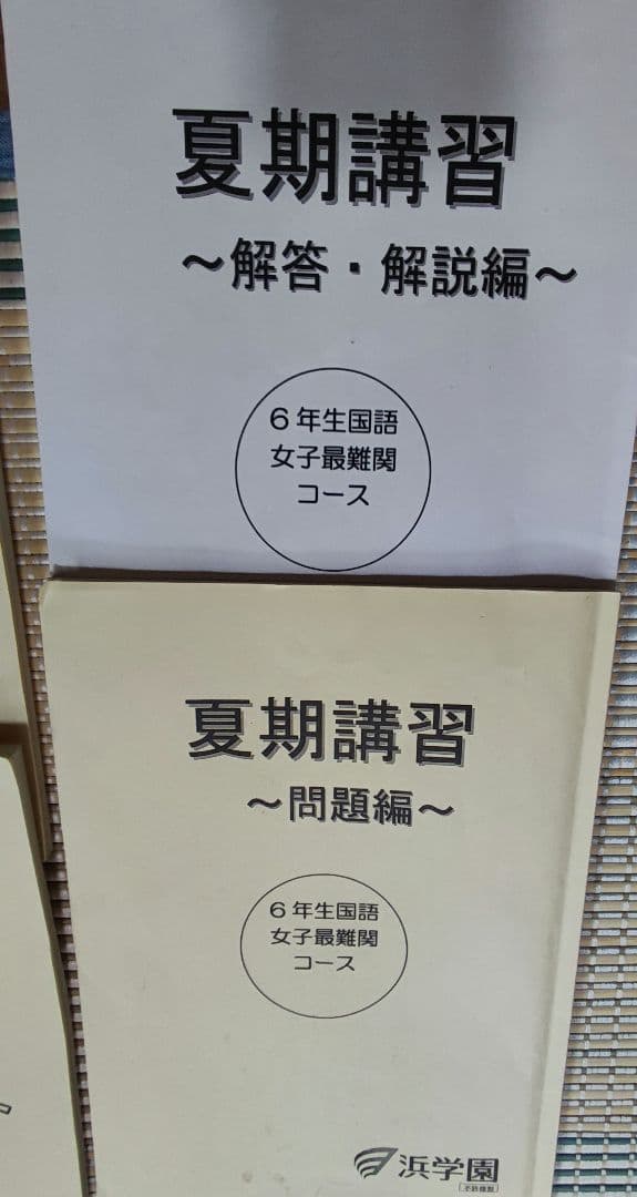 浜学園 小6 夏期講習 女子最難関コース国語算数理解 テキスト・復習テストセット