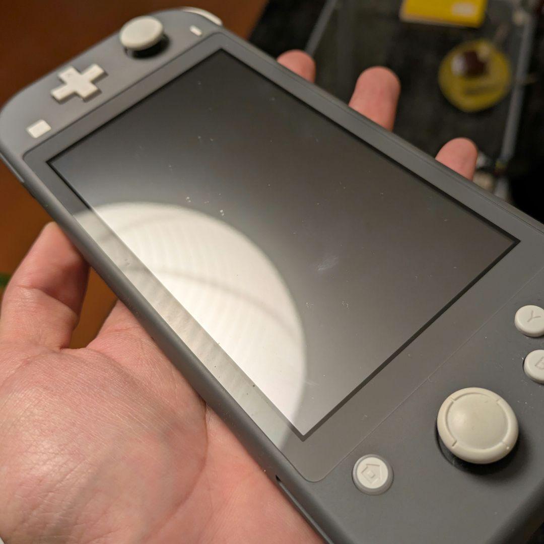 Nintendo Switch Lite グレー 動作確認済み 充電器付き 箱無