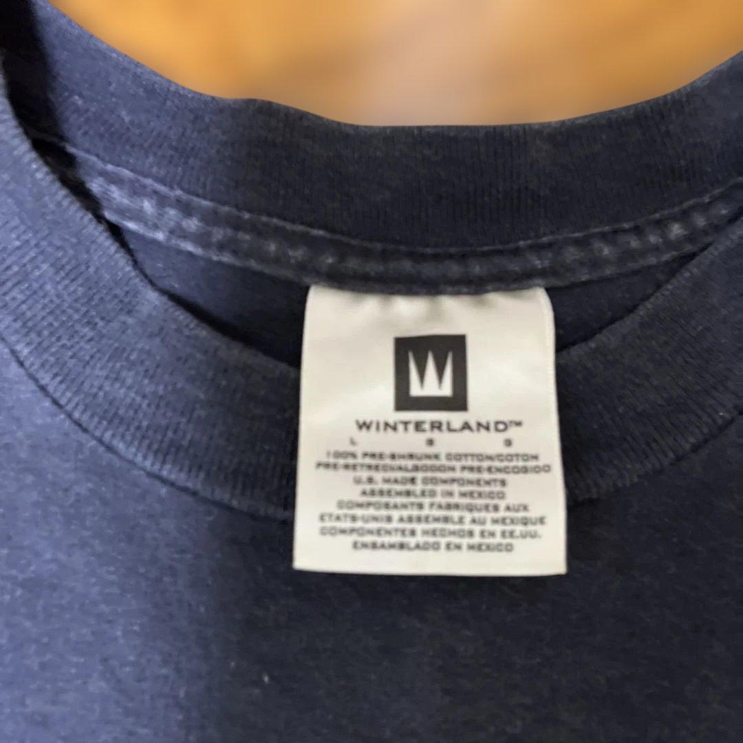 Pantera Tシャツ　ダレル　ピック　 Lサイズ　ビンテージ　パンテラ