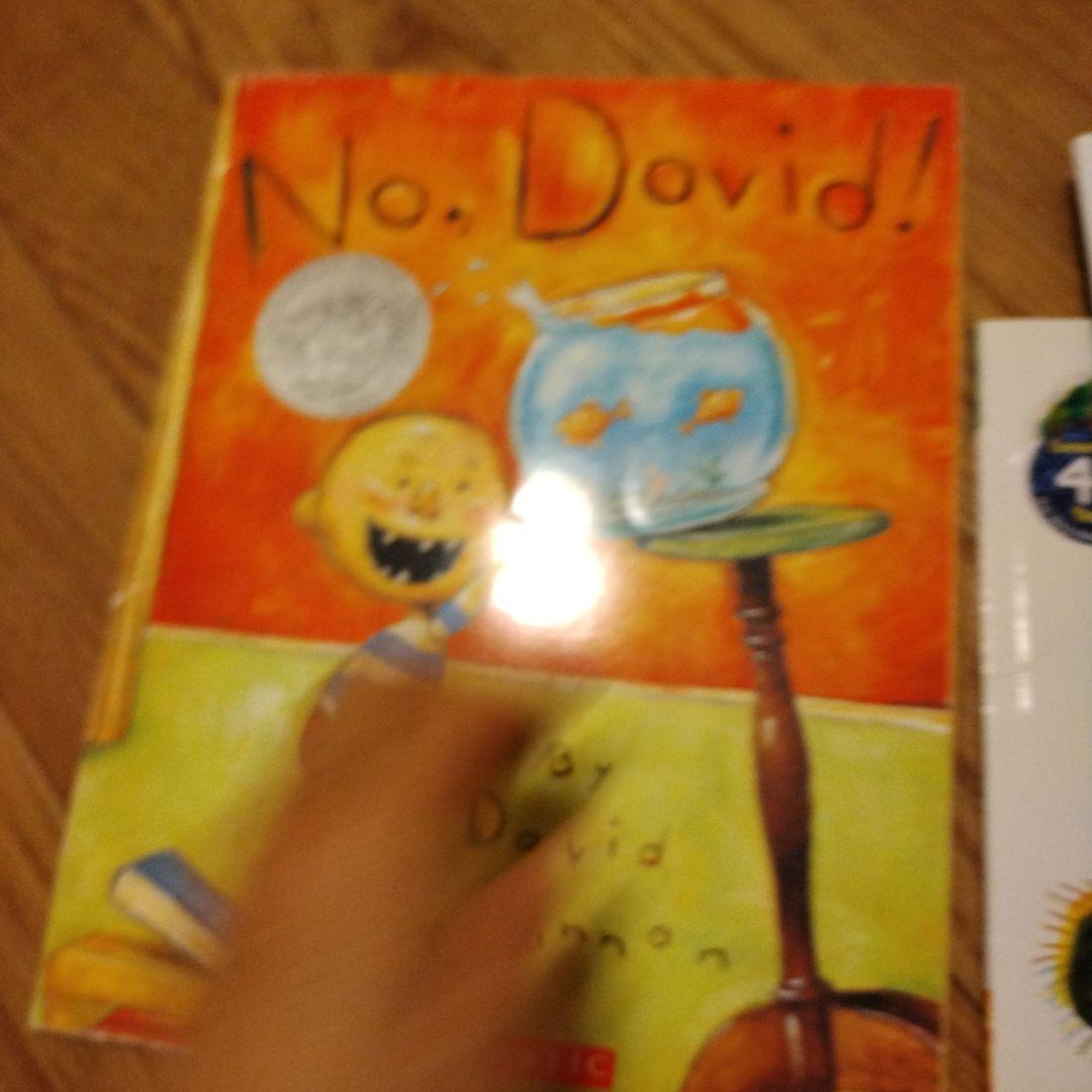 英語絵本　大人気８冊セット　dr.seuss, no,david