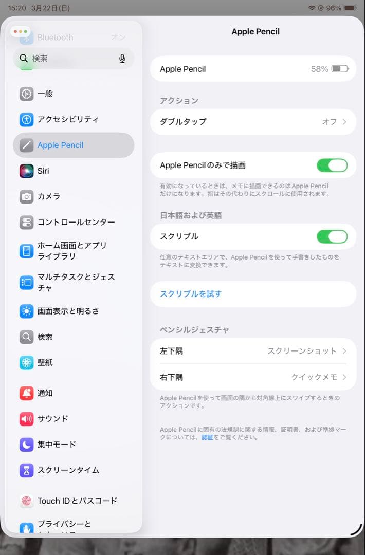 【純正品】Apple Pencil 第2世代（外箱あり）