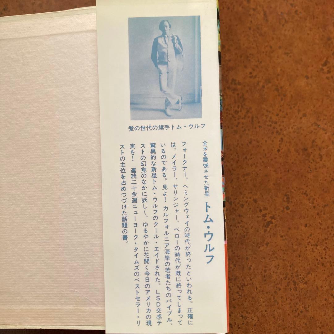 【希少】クール・クール LSD交感テスト 飯田隆昭　訳