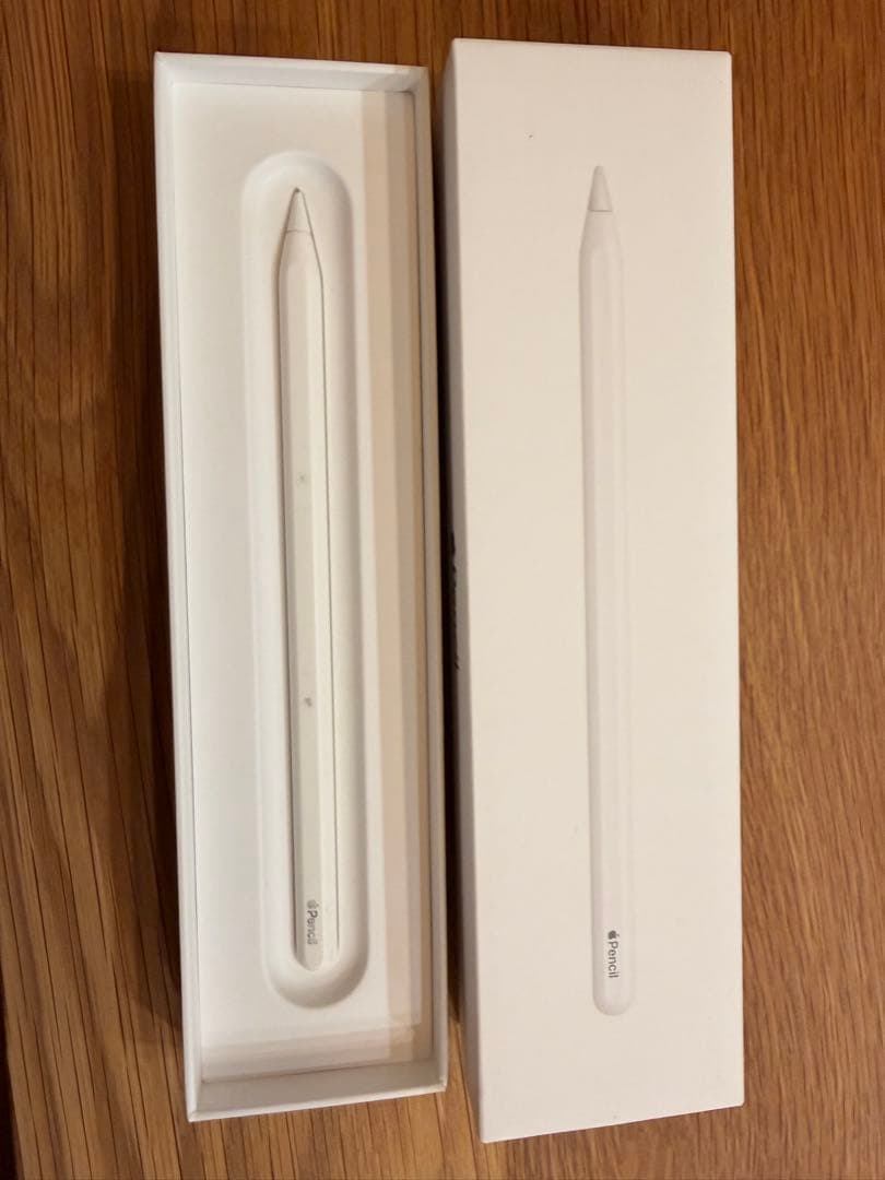 iPad Pro 11インチ (第2世代) 256 + Apple Pencil