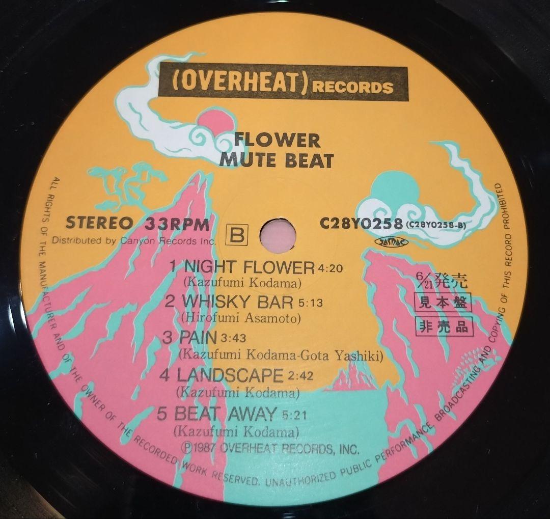邦楽 MUTE BEAT FLOWER