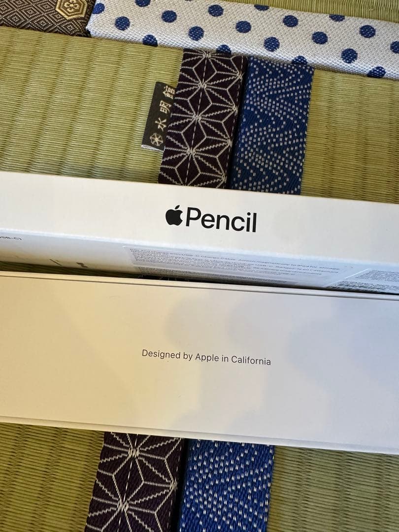 Apple Pencil (第2世代) 専用ケース付き　タイプC