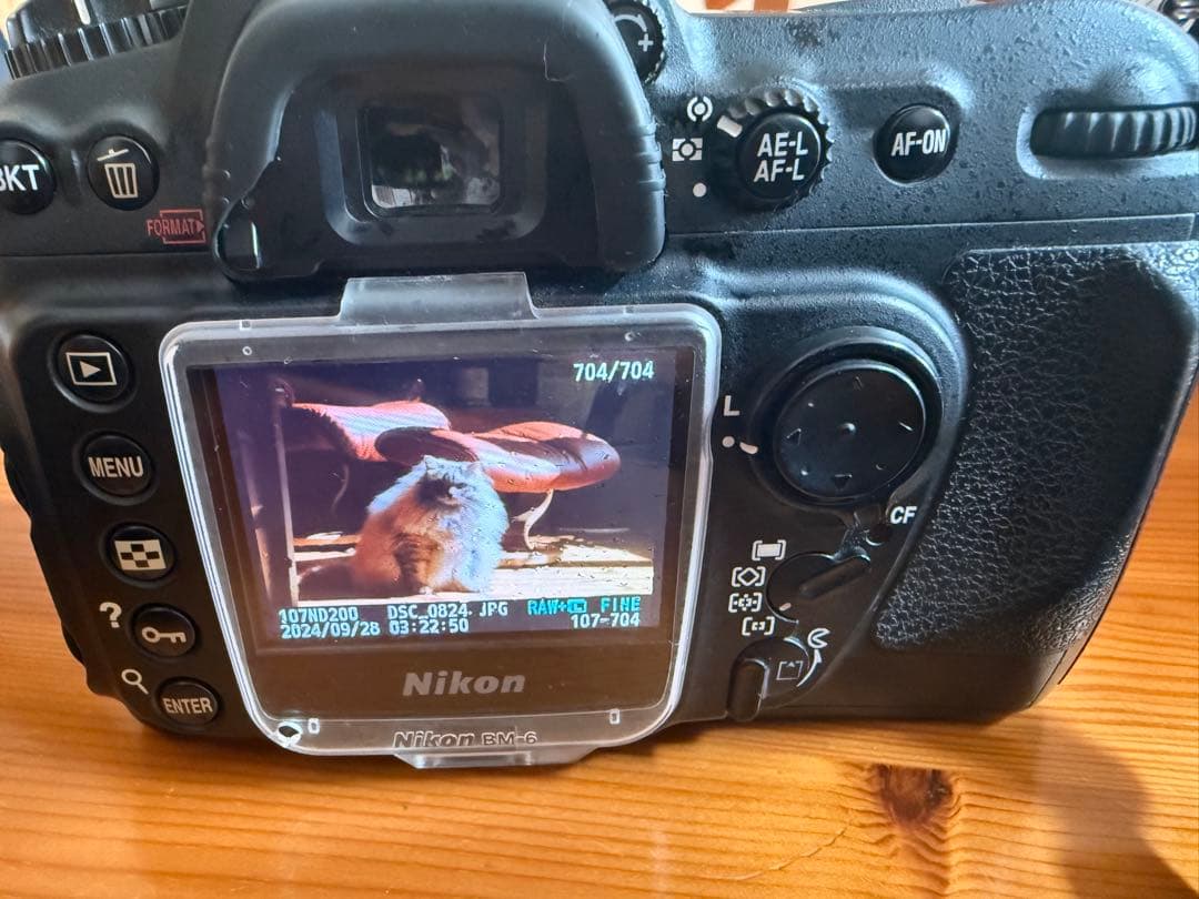 名機CCD！Nikon D200 万能＆単焦点レンズ 豪華三脚セット 初心者OK