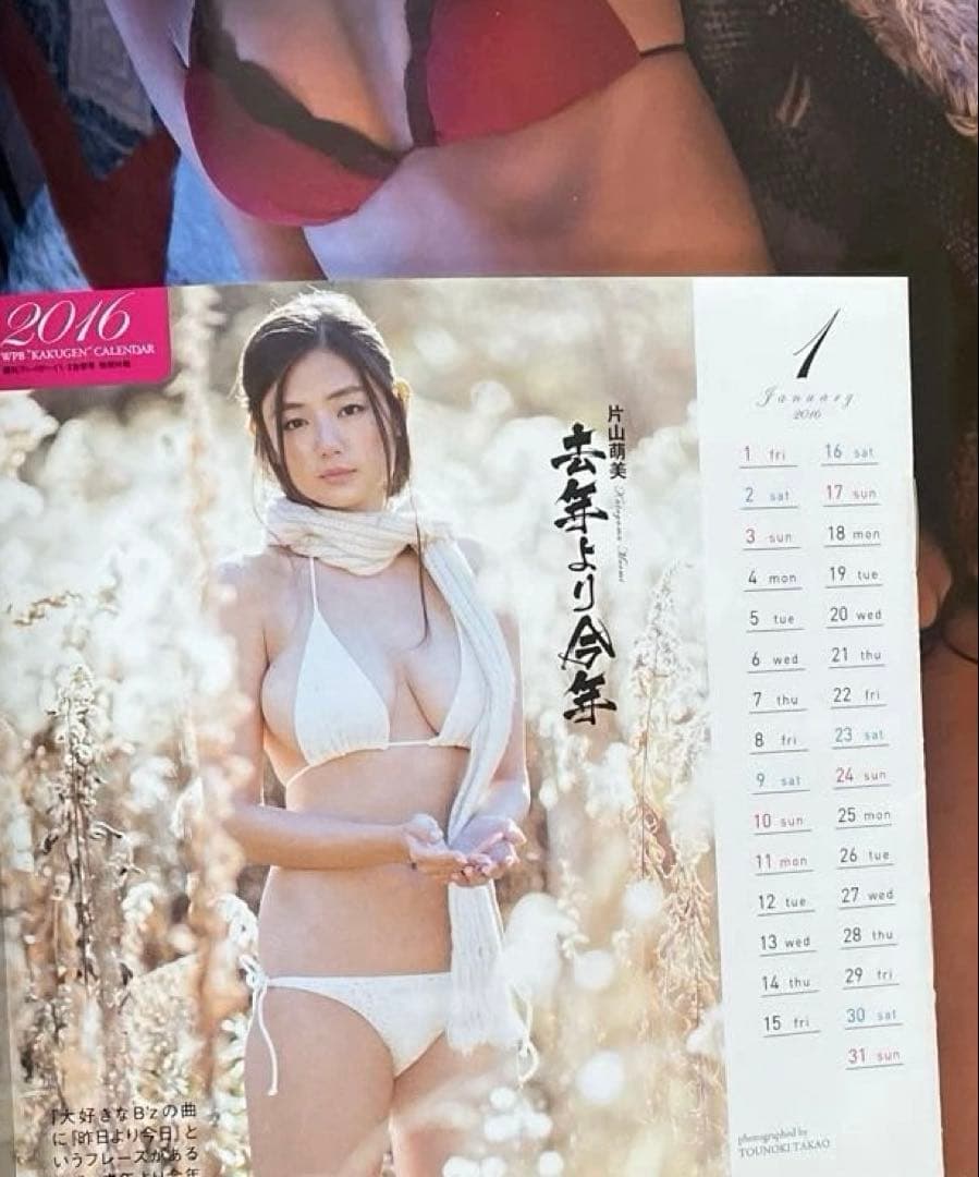 未開封　付録　付き　週刊　プレイボーイ