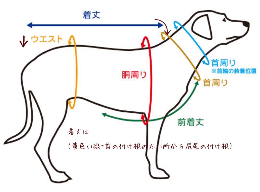 ミーシャページ①です　ダックスフンド　犬服　わんこ服　ワンピース