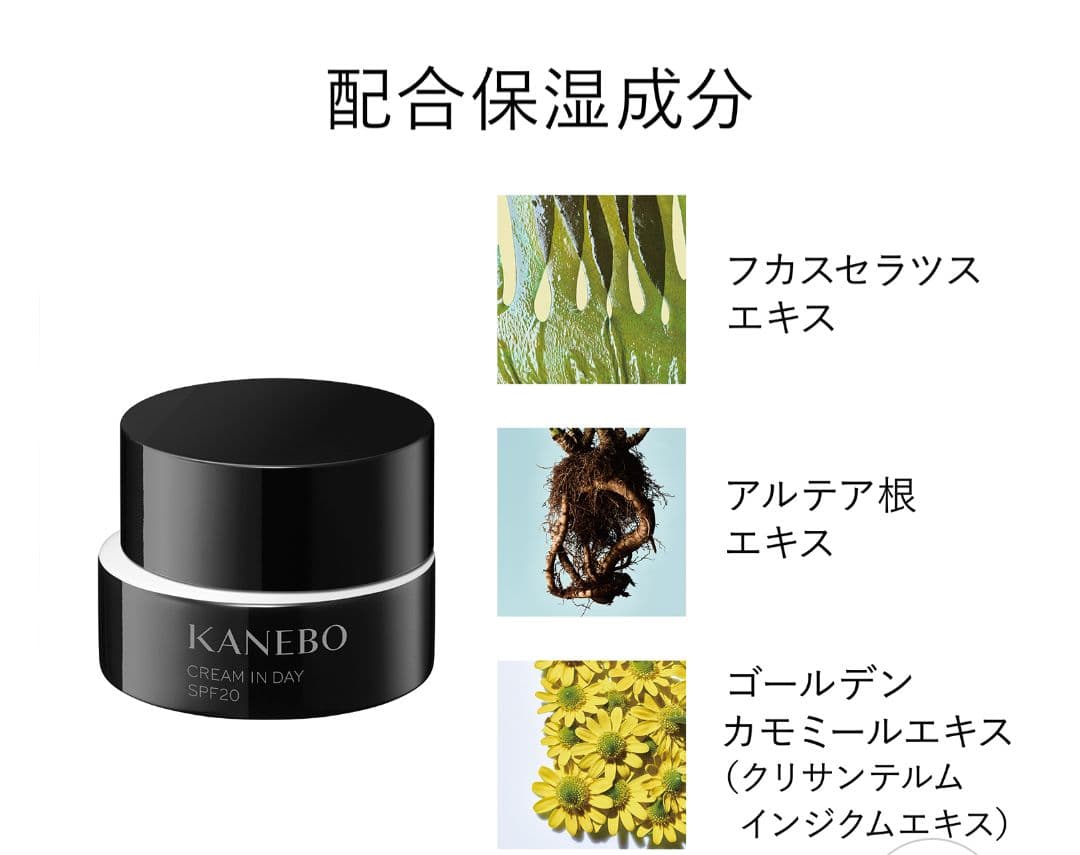 ☆最終値下げ☆【未使用】カネボウ クリームインデイ40g 化粧下地
