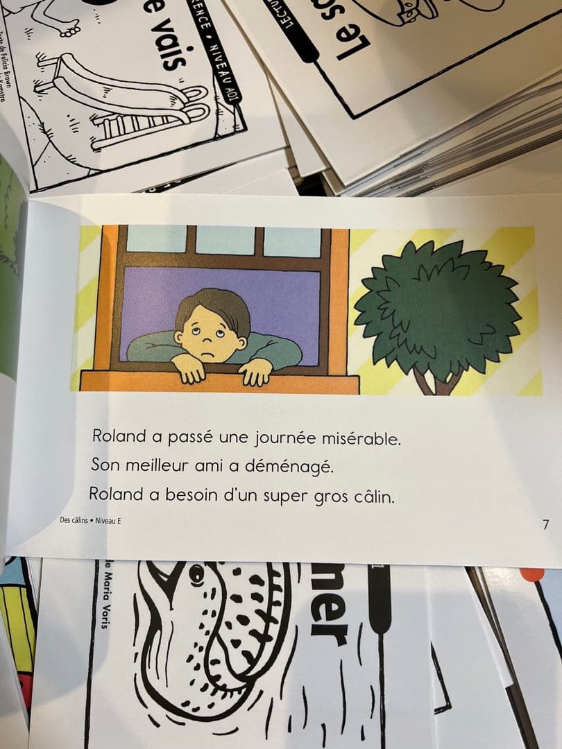 フランス語raz (Reading A-Z) level AA-E 104冊