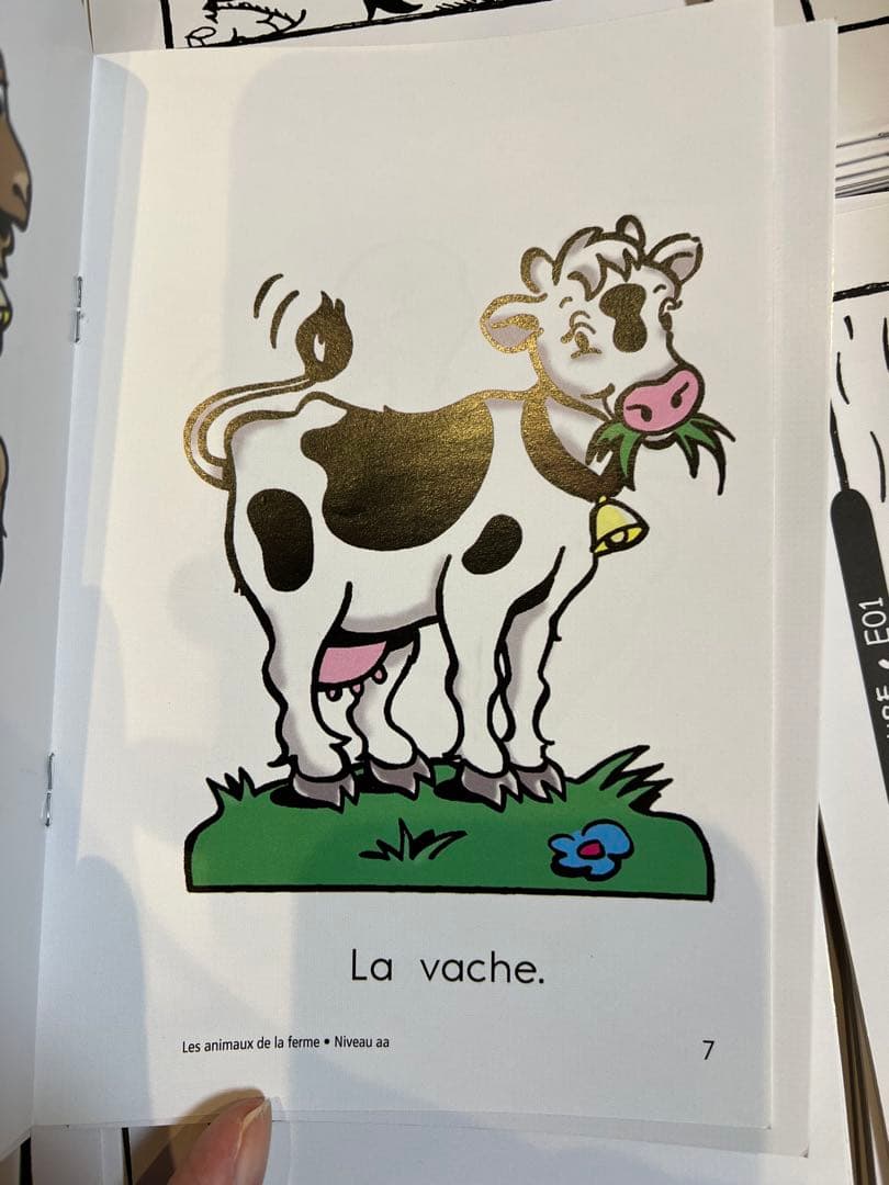 フランス語raz (Reading A-Z) level AA-E 104冊