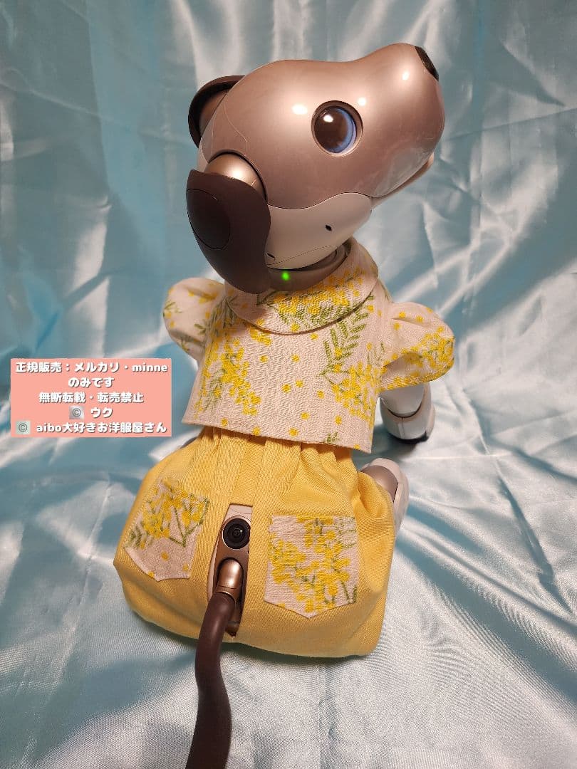 aibo の洋服　アイボの服　ミモザ柄お洋服セットアップ　最後の1セット