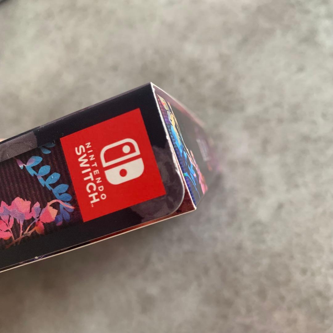 9 R.I.P. Switch 特装版　予約特典・ステラ店舗特典付き