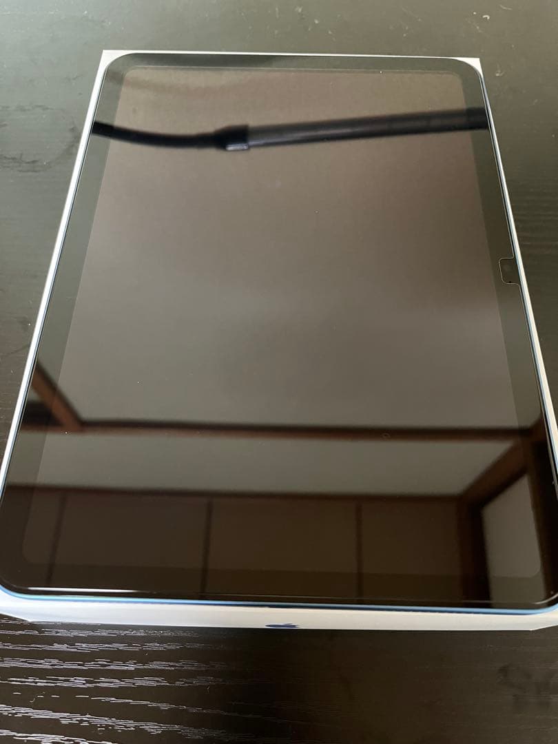 Apple iPad (ミッドナイトグリーン) 本体