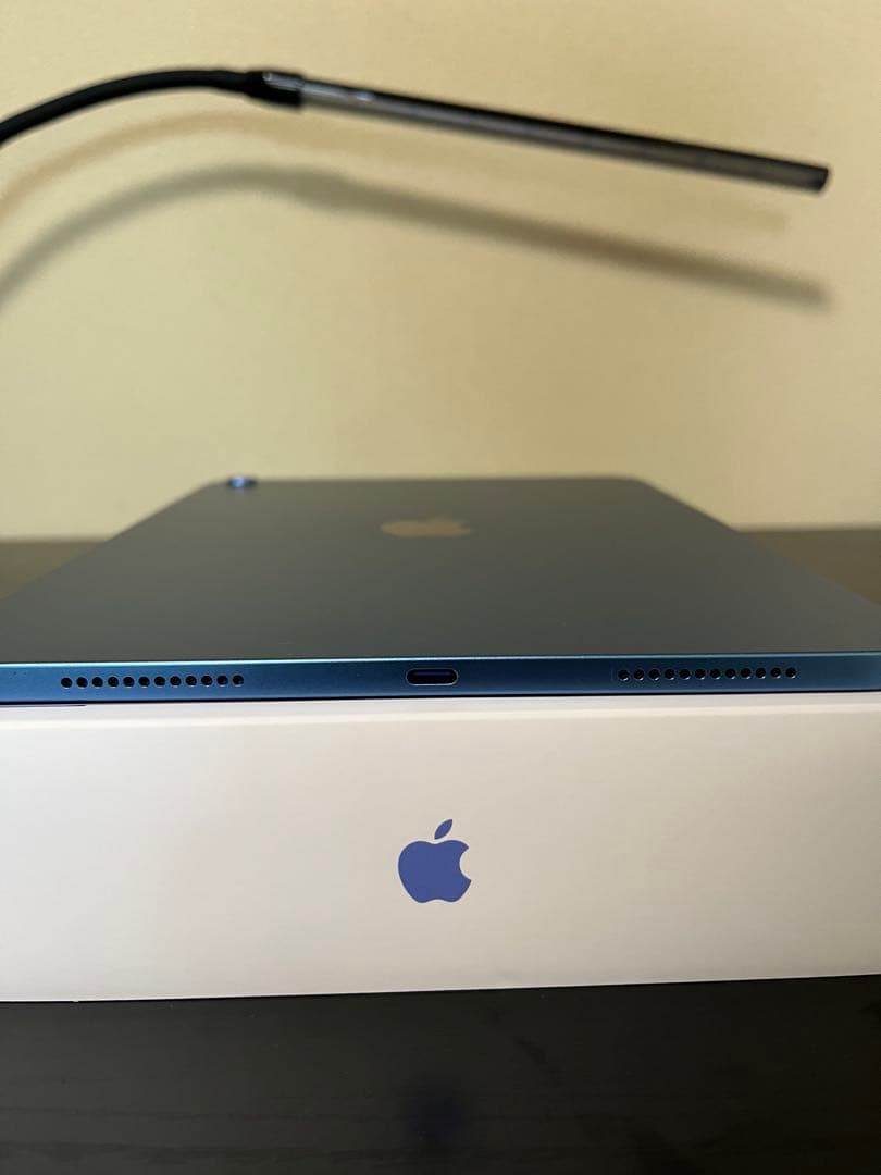 Apple iPad (ミッドナイトグリーン) 本体