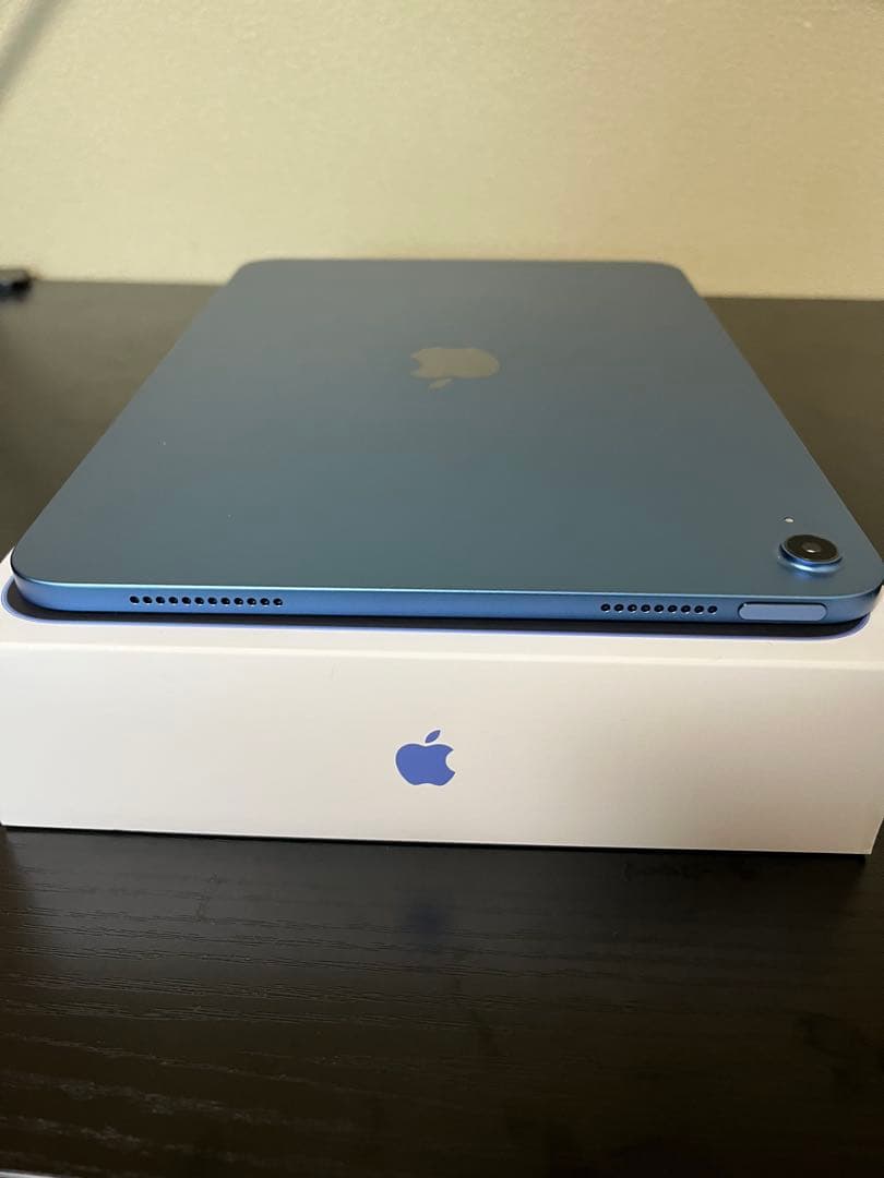Apple iPad (ミッドナイトグリーン) 本体